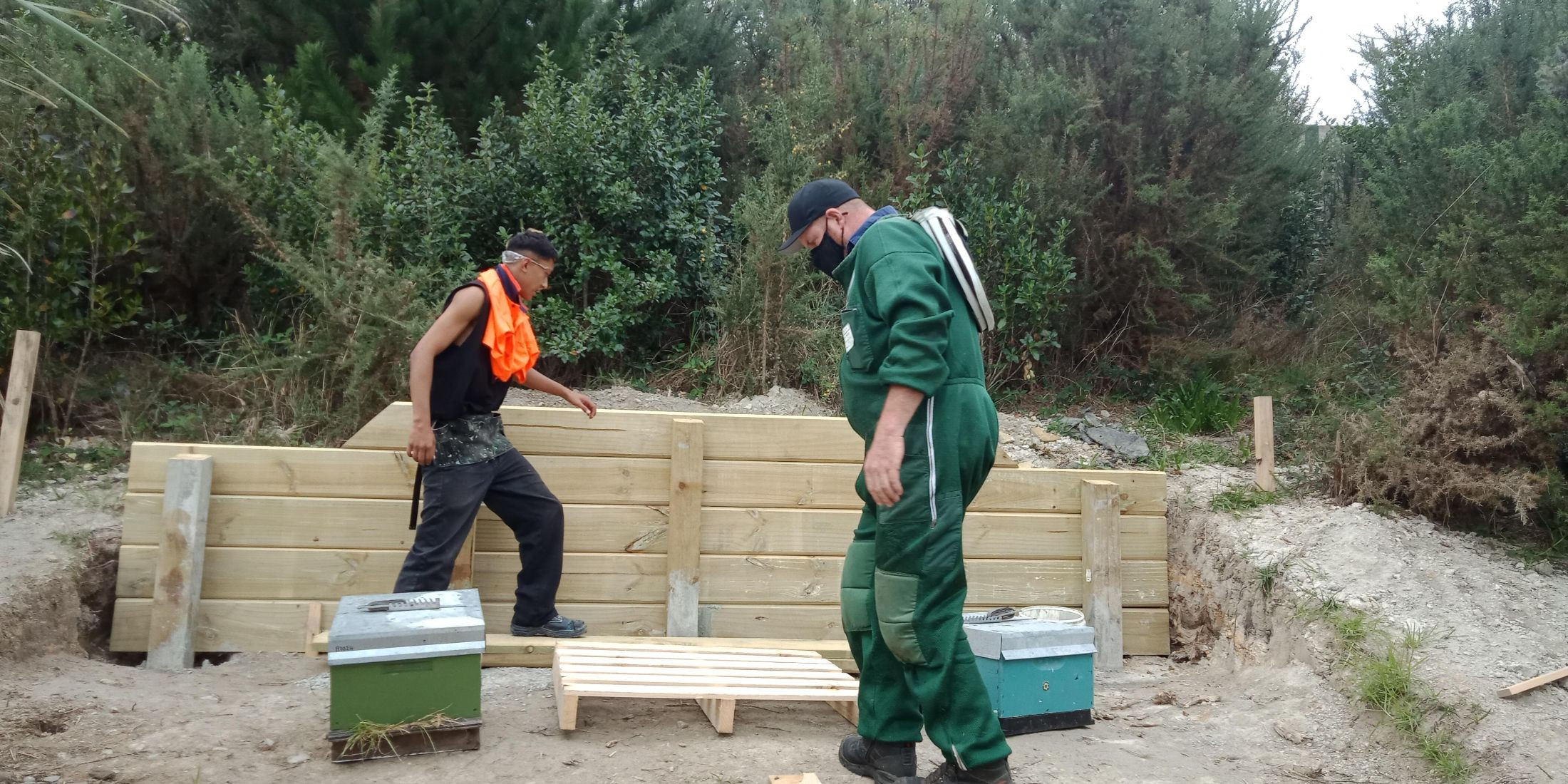 Bee Hives Being Placed 2