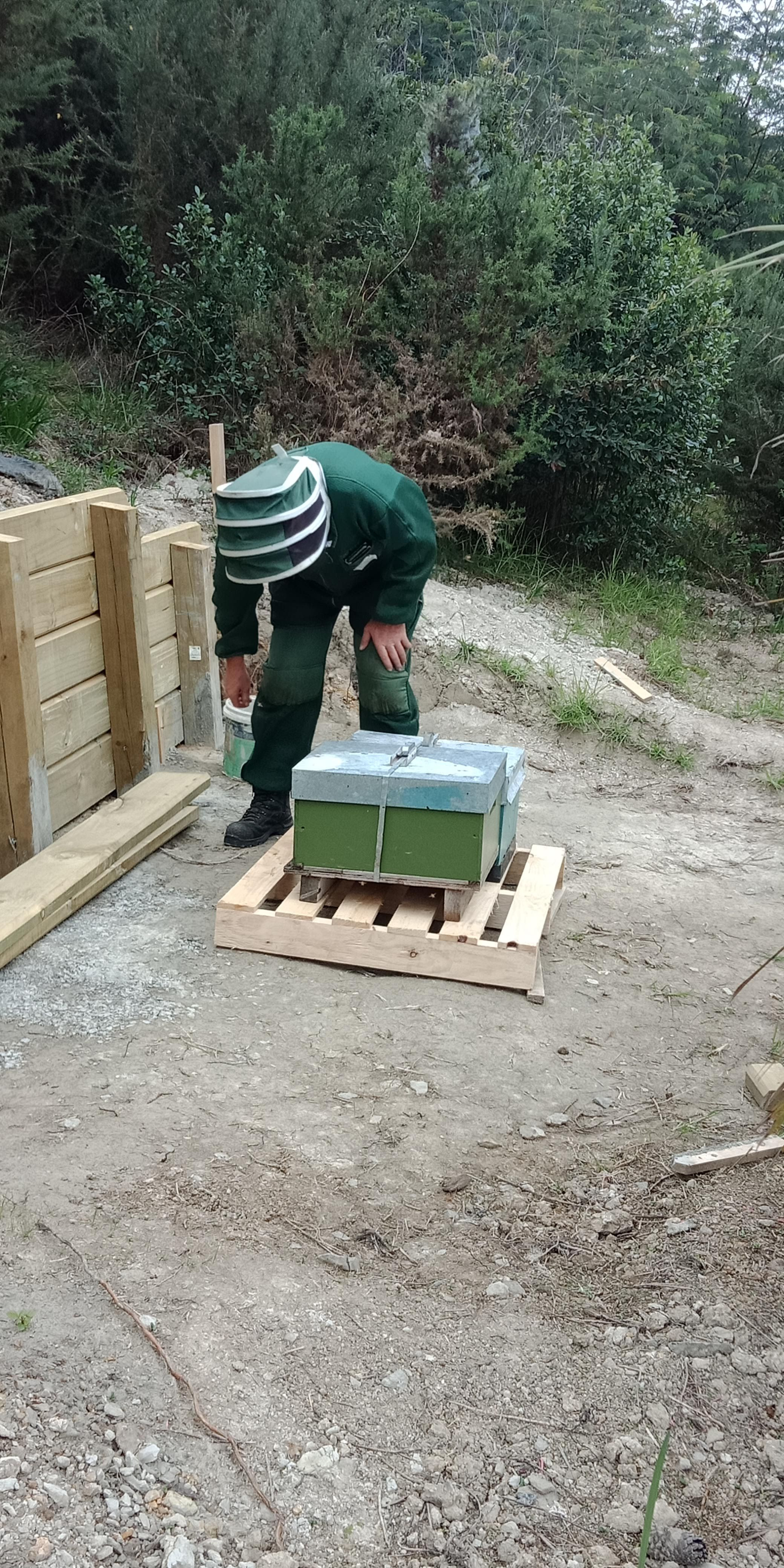 Bee Hives Being Placed On Site