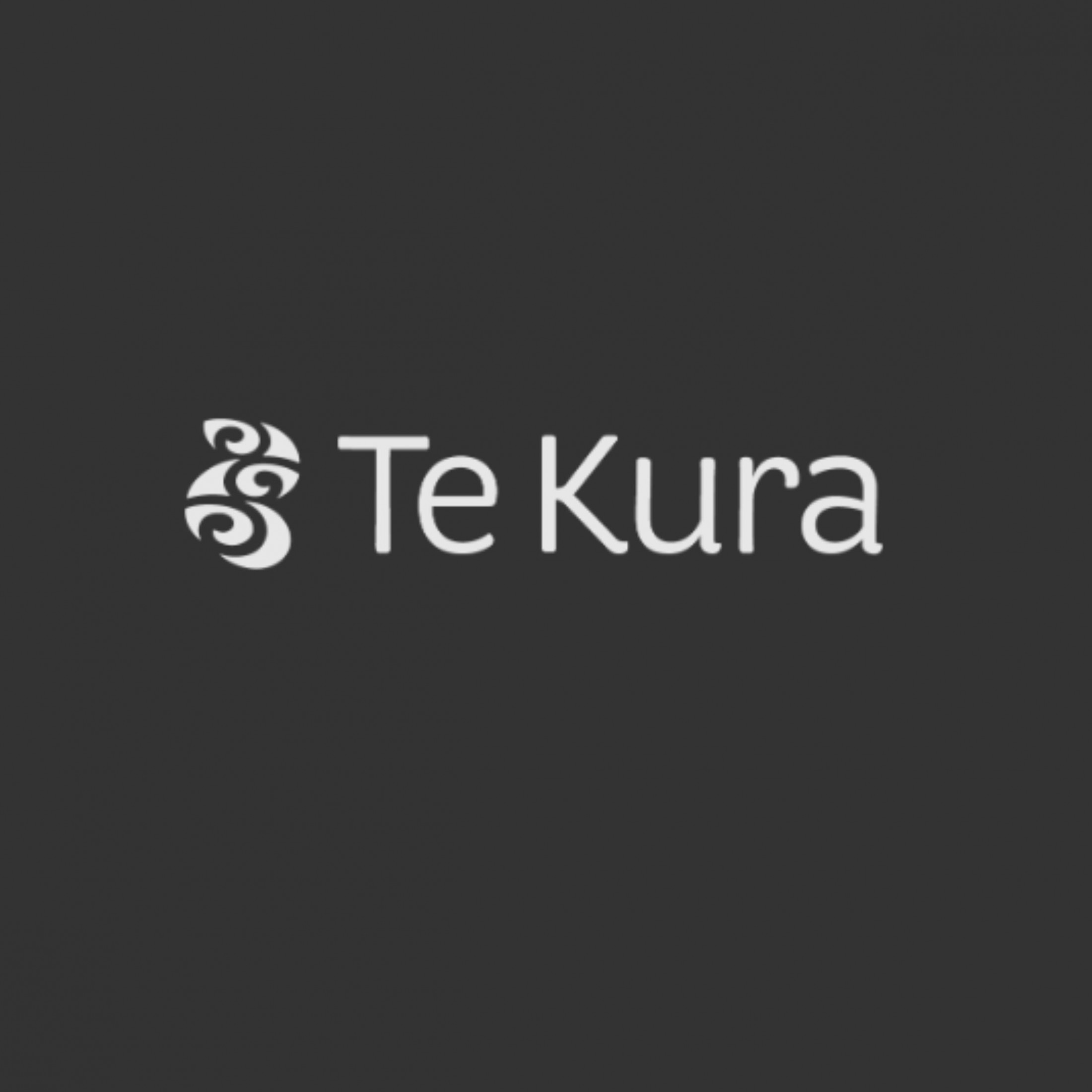 Te Kura Summer School