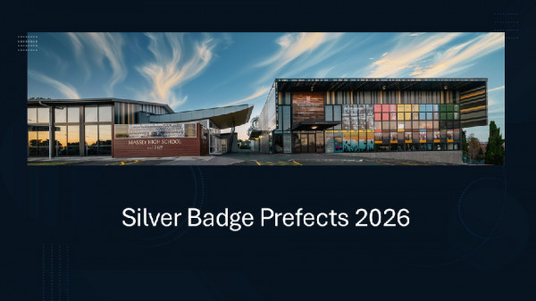 Silver Slide