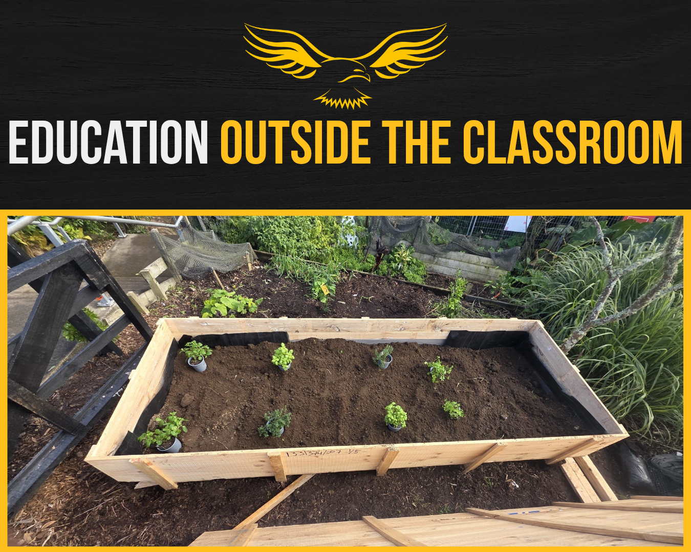 Growing Change, One Project at a Time